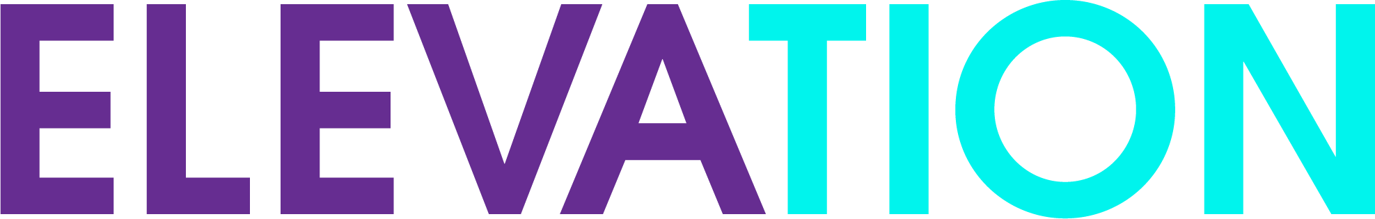 Elevation Google Ad Grant